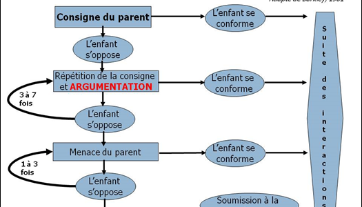 TDAH – TROUBLE D’OPPOSITION